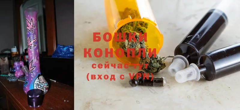 Конопля SATIVA & INDICA  дарнет шоп  Чекалин 